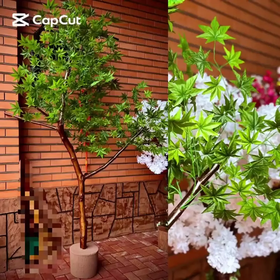 Декоративные деревья - сакура, клен, береза