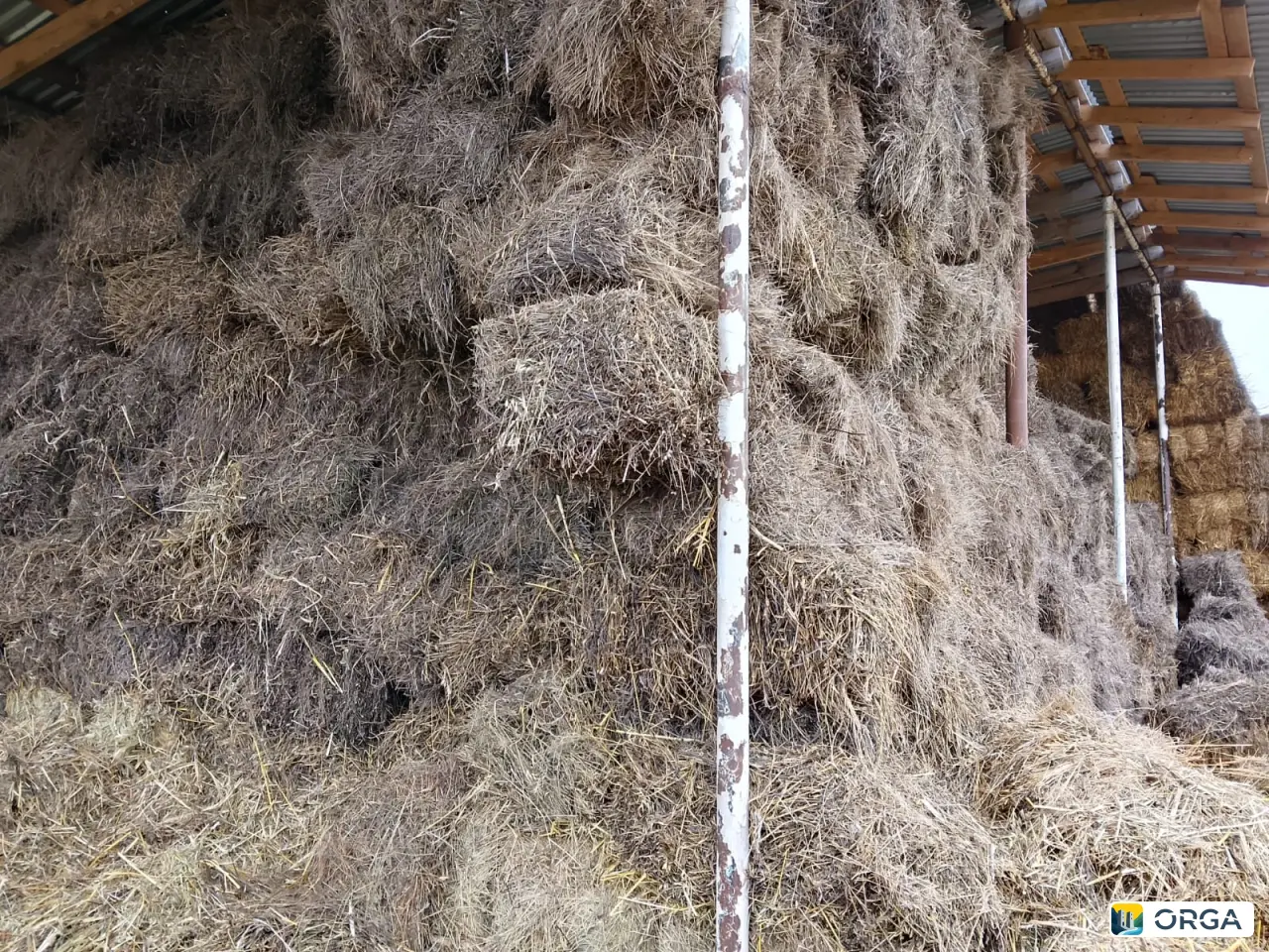 сено разнотравие