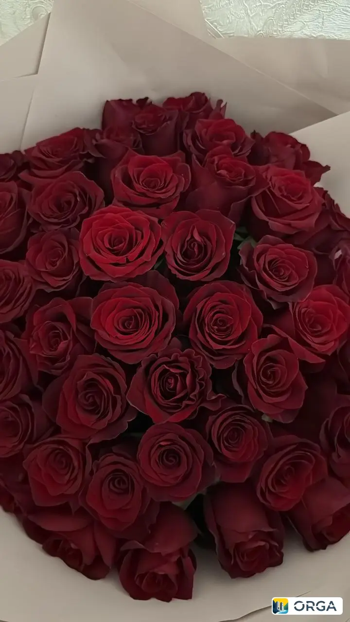 букет из 50 роз