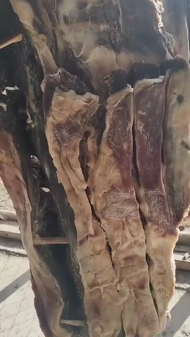 Сушёное мясо конины