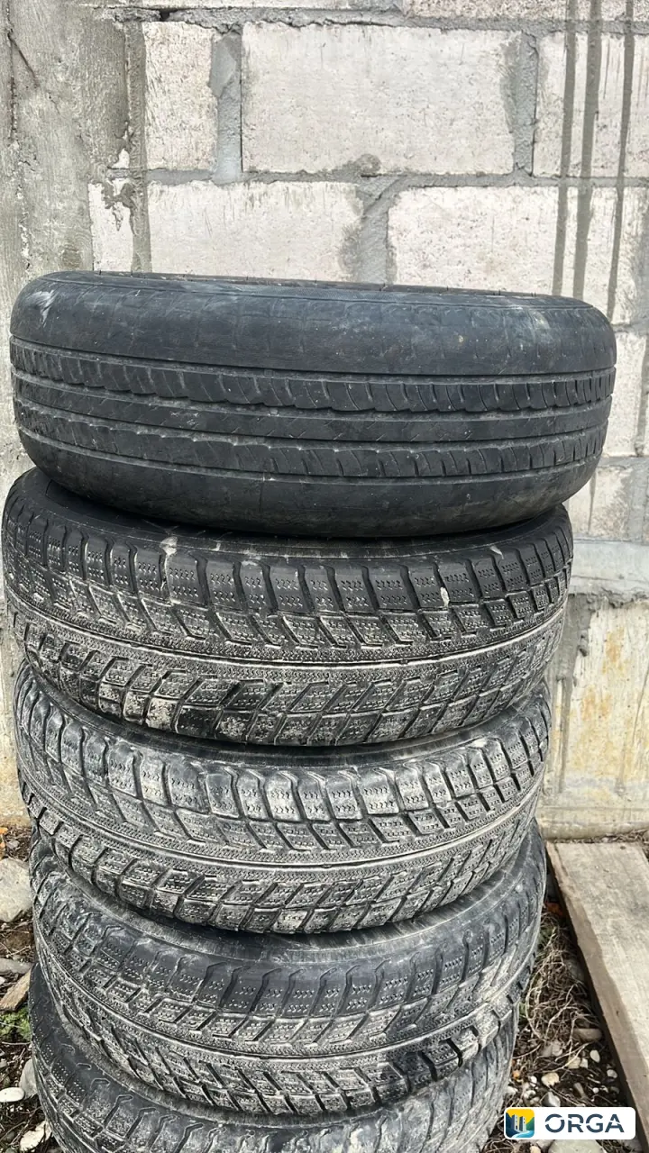 зимние шины