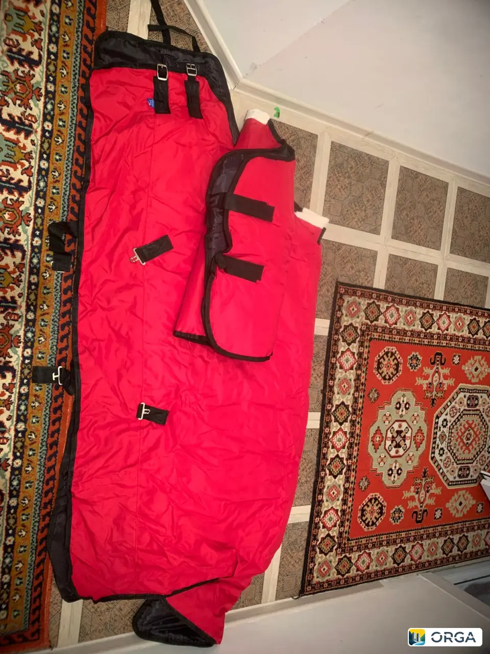 Новая зимняя попона для лошадей